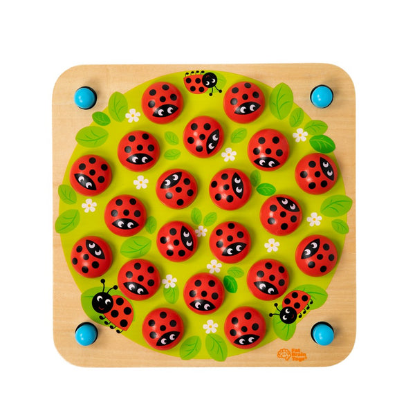 Fat Brain - Ladybug's Garden Memory Game
