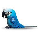Eugy Spix's Macaw