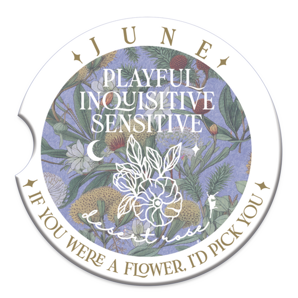 Lisa Pollock Car Coaster - June