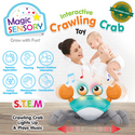 Interactive crawling crab plastic toys for kids 5