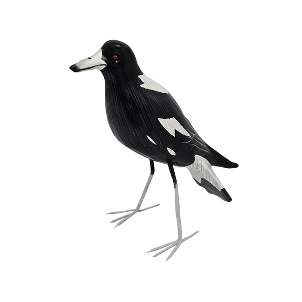 Small Magpie