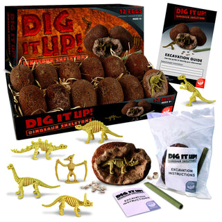 Dig It Up - Dinosaur Skeletons - Single Clay Egg