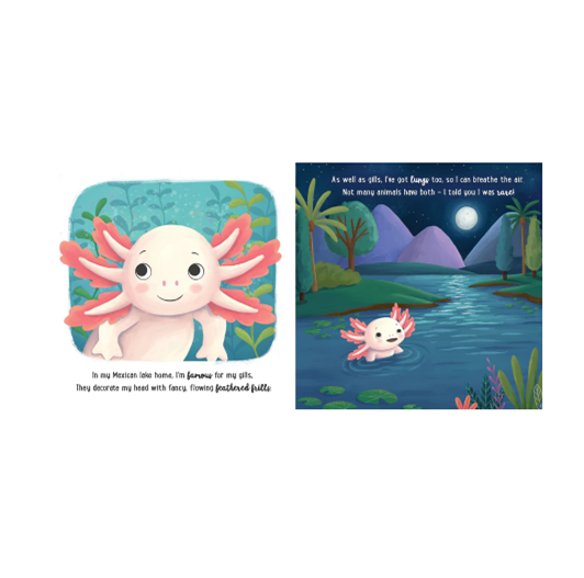 Storytime - Padded Board Book - I love being an Axolotl