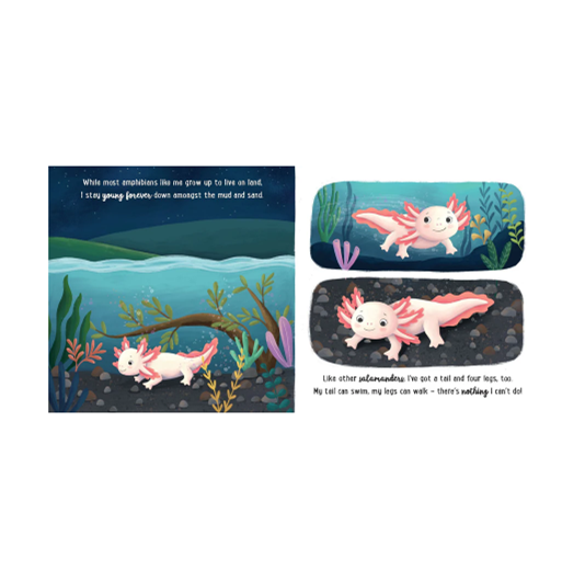 Storytime - Padded Board Book - I love being an Axolotl