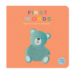 Baby's world - touch and feel board book - First Words