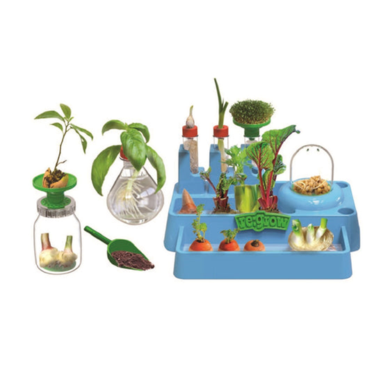 Regrow Lab from Cambrelle's for Kids 2