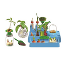 Regrow Lab from Cambrelle's for Kids 2