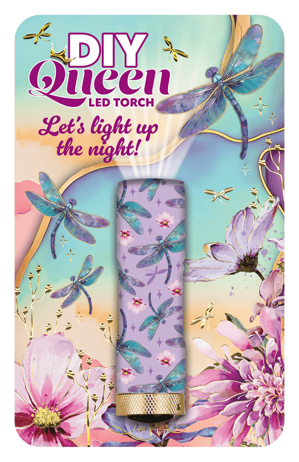 Lisa Pollock - LED Torch