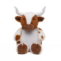 Texas Longhorn Cubby