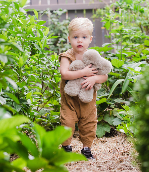 Flat out Bear - Latte