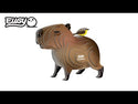 Eugy Capybara