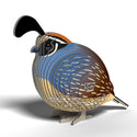 Eugy Quail