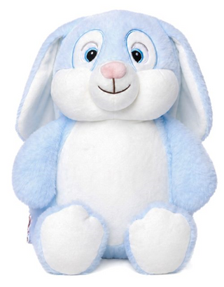 Baby Blue Bunny Cubby