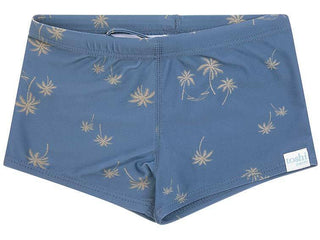 Toshi Swim Shorts - Dreamer
