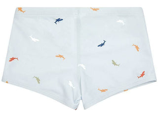 Toshi Swim Shorts - Sharks