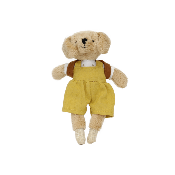 Buddy in a box - Adopt a Pup