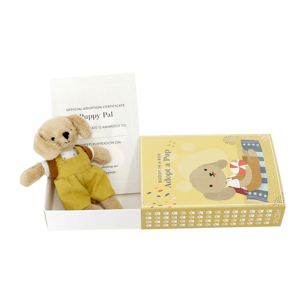 Buddy in a box - Adopt a Pup