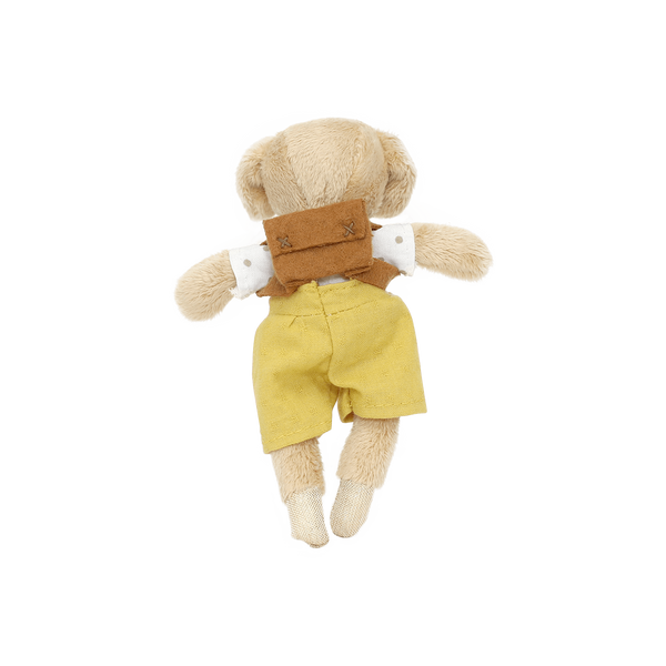 Buddy in a box - Adopt a Pup