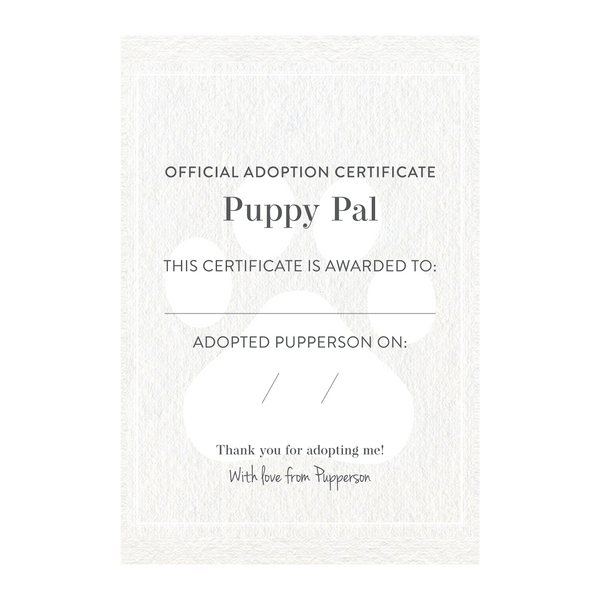 Buddy in a box - Adopt a Pup