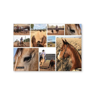 Book Cover Scrapbook Cover - Country Horses