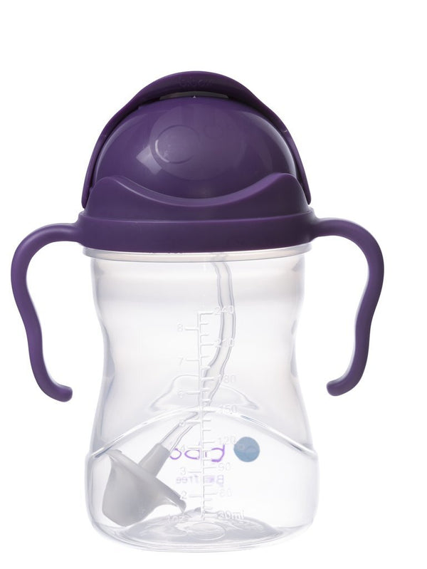 Sippy Cup - Grape